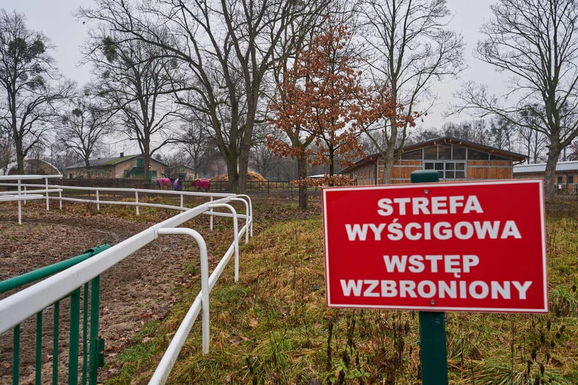 Tablica informacyjna o zakazie wstępu (strefa dla koni)&nbsp;