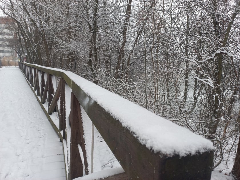 Zima we Wrocławiu. Osiedle Stabłowice w śniegu 21.01.2023