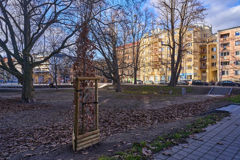 Skwer Skaczącej Gwiazdy we Wrocławiu