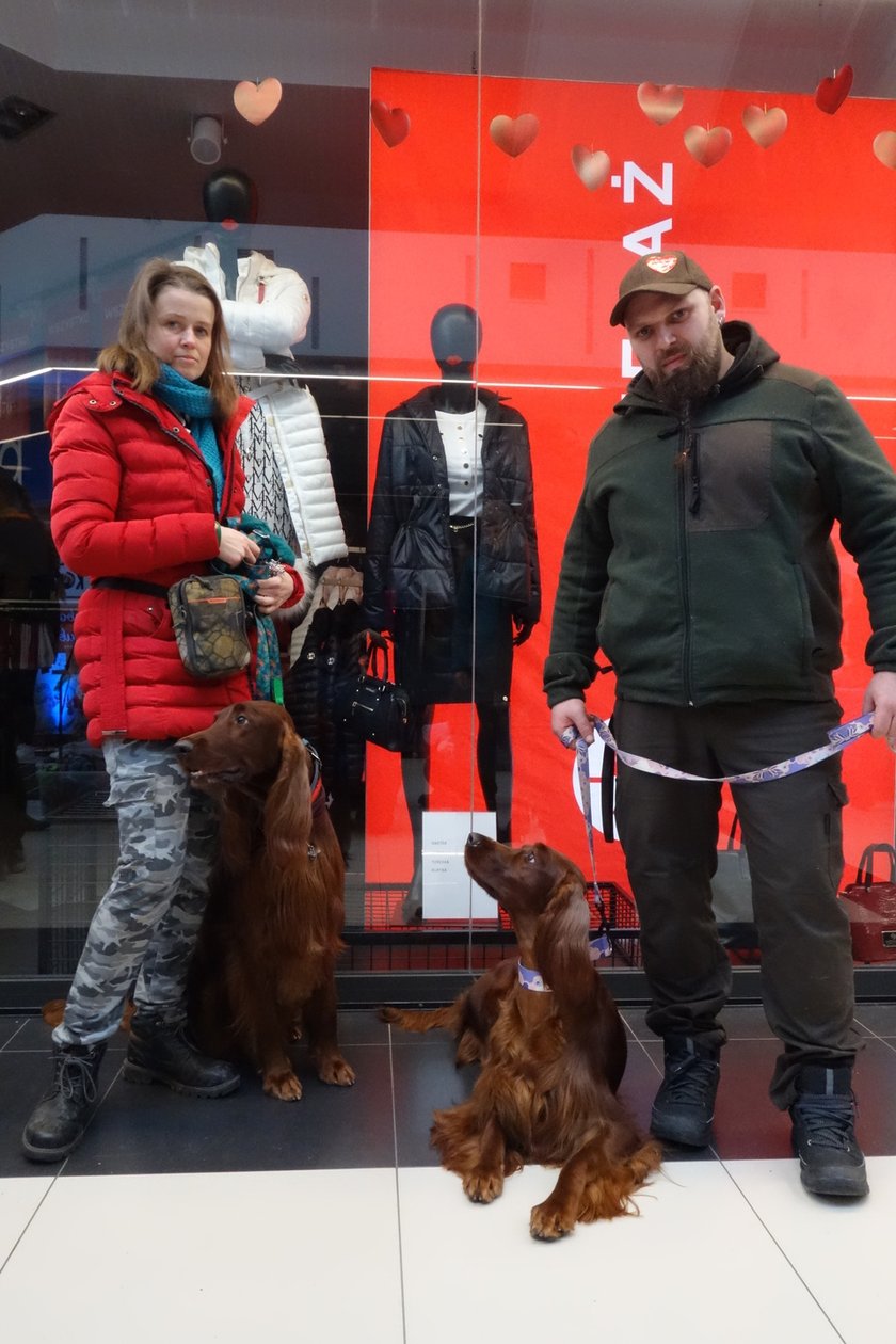 Na zdjęciach Targi PupiLove w Centrum Handlowym Borek, 12.02.2023, Pani Beata i Pan Maciej z seterami irlandzkimi (Ruby, z prawej, Momo z lewej