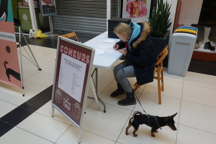 Na zdjęciach Targi PupiLove w Centrum Handlowym Borek, 12.02.2023