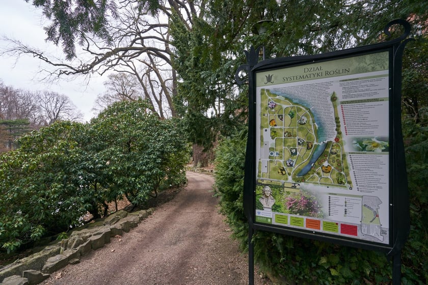 Widoki z Ogrodu Botanicznego, rośliny powoli budzą się na wiosnę