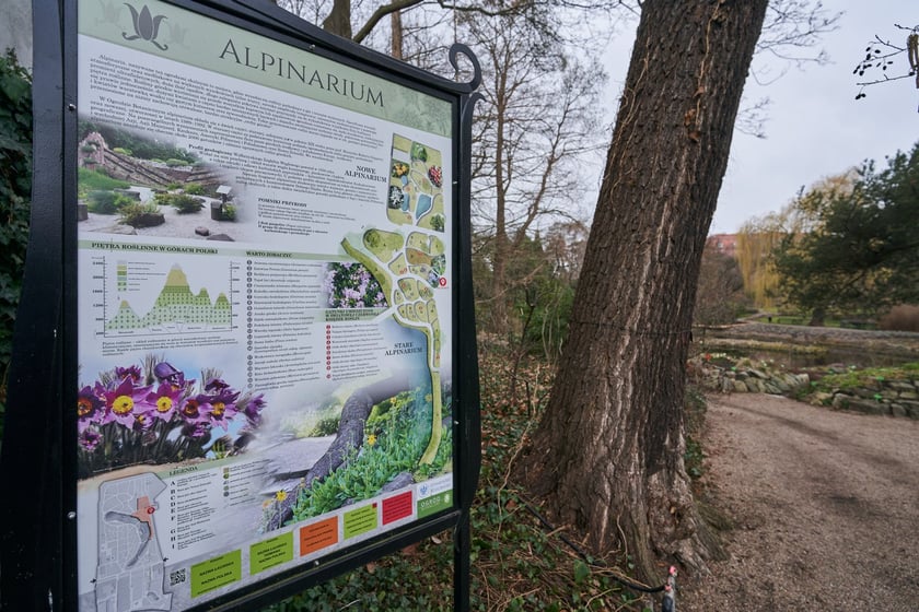 Widoki z Ogrodu Botanicznego, rośliny powoli budzą się na wiosnę