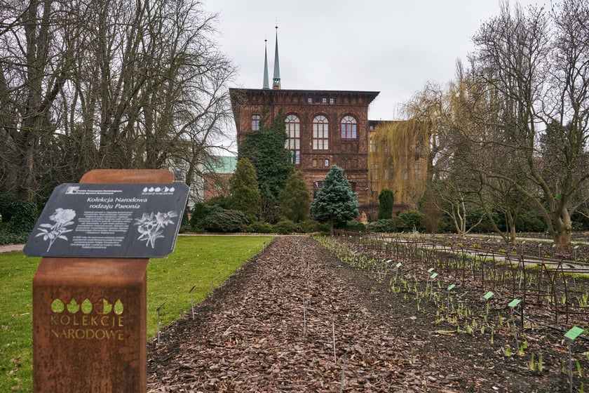 Widoki z Ogrodu Botanicznego, rośliny powoli budzą się na wiosnę
