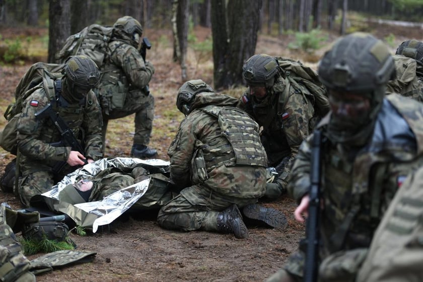 Wojska Obrony Terytorialnej, podczas działań wojennych są wsparciem wojsk specjalnych, a w czasie pokoju, pomagają społecznościom lokalnym.
Realizują działania związane z planowaniem i organizowaniem działań pomocowych i podczas występowania klęsk żywiołowych. Wspierają r&oacute;wnież plac&oacute;wki służby zdrowia.