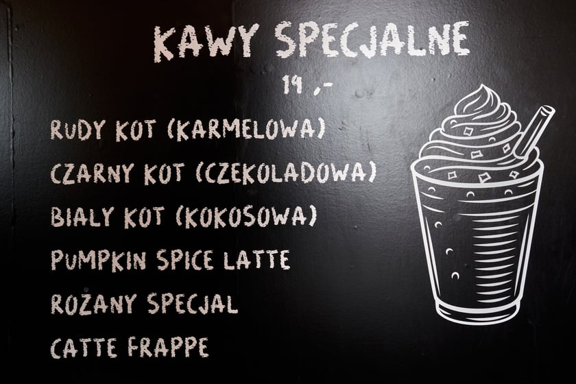 Kot Cafe . Kocia kawiarnia we Wrocławiu