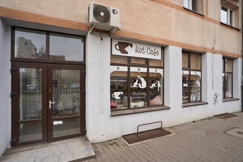 Kot Cafe . Kocia kawiarnia we Wrocławiu