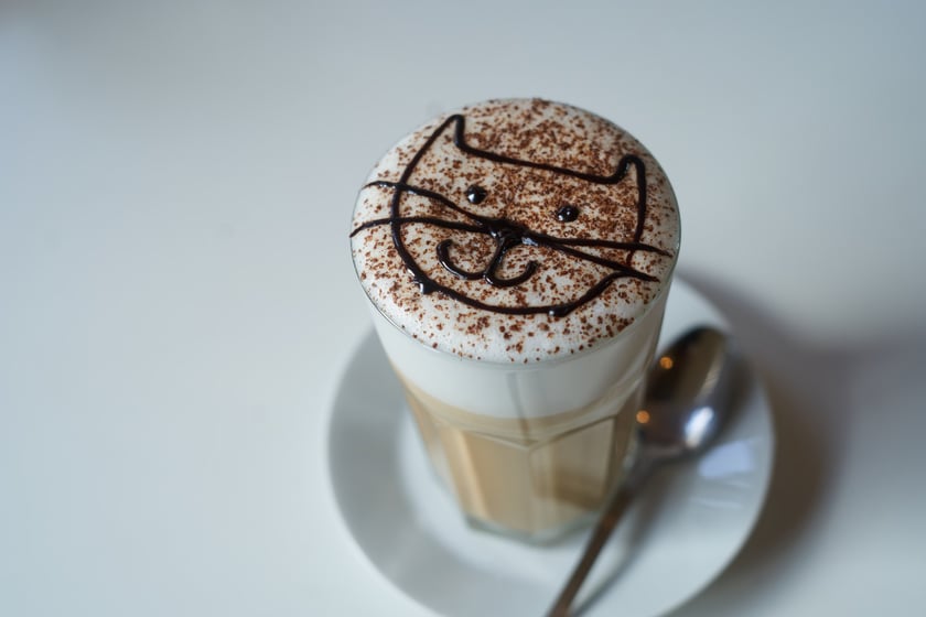 KOTON. Kocia kawiarnia we Wrocławiu