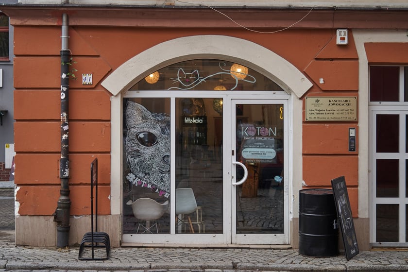 KOTON. Kocia kawiarnia we Wrocławiu