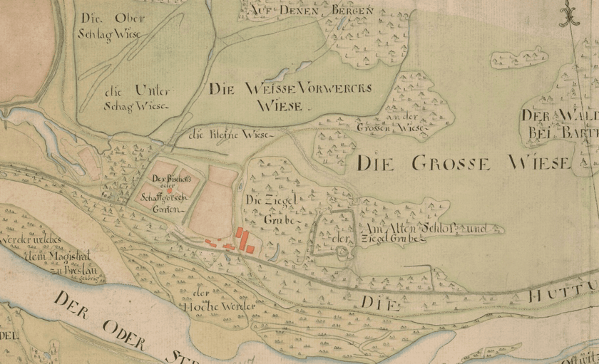 Fragment XIX-wiecznej mapy dzisiejszego Biskupina z zaznaczonym miejscem nazwanym Am Alten Schloss