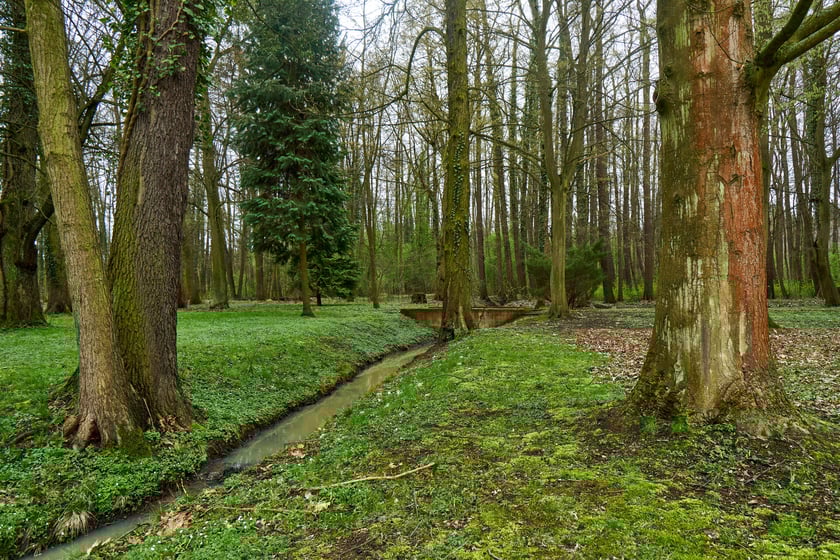 Gotycko-renesansowy zamek na wodzie był obronną siedzibą rycerską. Dziś można cieszyć się jego urodą oraz pięknym otoczeniem. Niezwykle urokliwe są również jego wnętrza.
