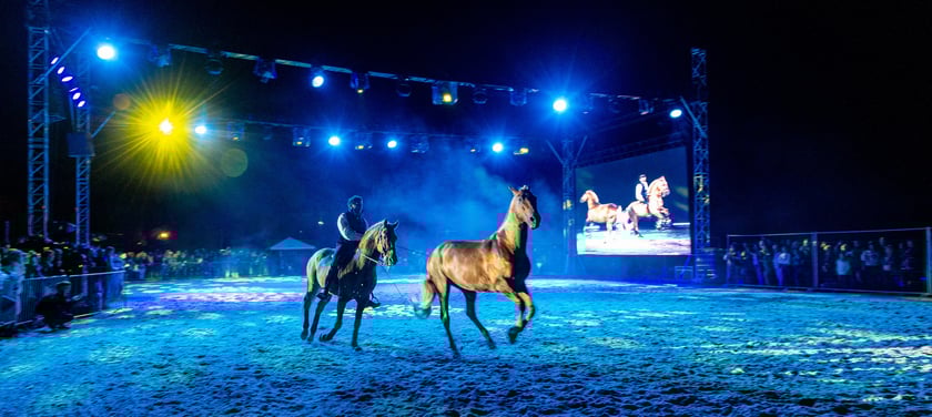 Zdjęcia Wiktora Rzeżuchowskiego, fotografa i  instruktora jazdy konnej
