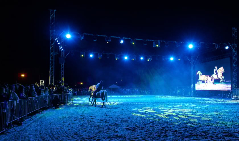 Zdjęcia Wiktora Rzeżuchowskiego, fotografa i  instruktora jazdy konnej