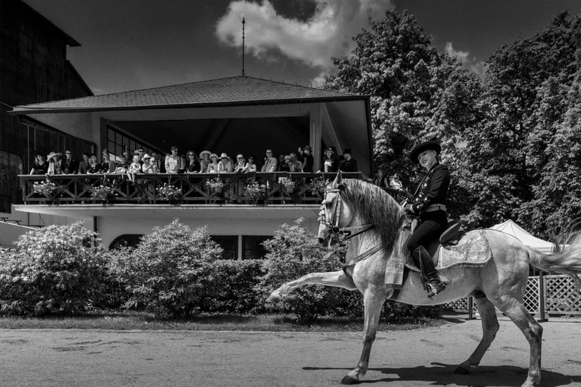 Zdjęcia Wiktora Rzeżuchowskiego, fotografa i  instruktora jazdy konnej