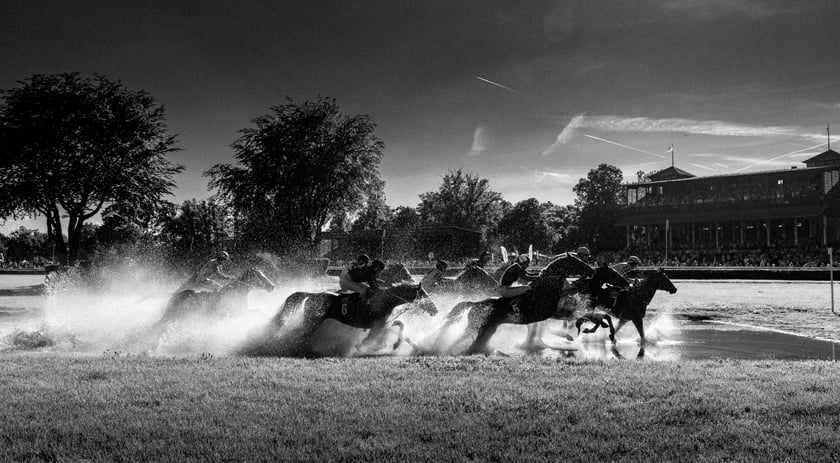 Zdjęcia Wiktora Rzeżuchowskiego, fotografa i  instruktora jazdy konnej
