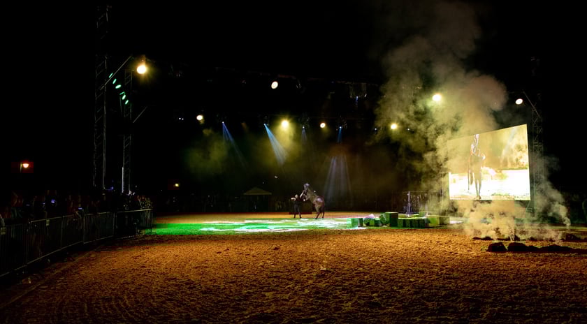 Zdjęcia Wiktora Rzeżuchowskiego, fotografa i  instruktora jazdy konnej