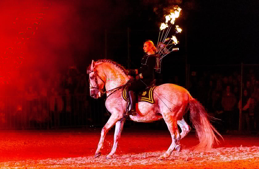 Zdjęcia Wiktora Rzeżuchowskiego, fotografa i  instruktora jazdy konnej