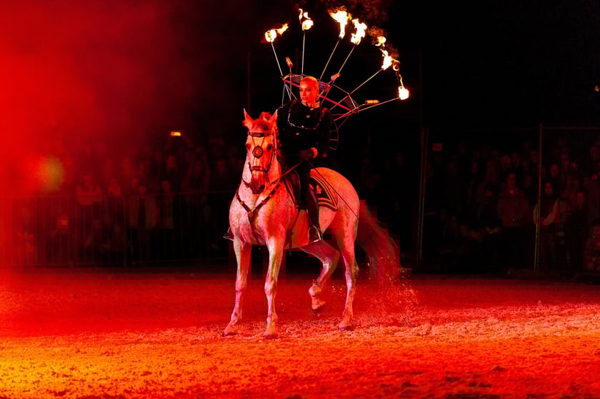 Zdjęcia Wiktora Rzeżuchowskiego, fotografa i  instruktora jazdy konnej