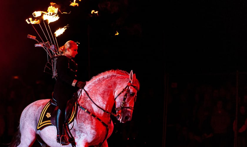 Zdjęcia Wiktora Rzeżuchowskiego, fotografa i  instruktora jazdy konnej