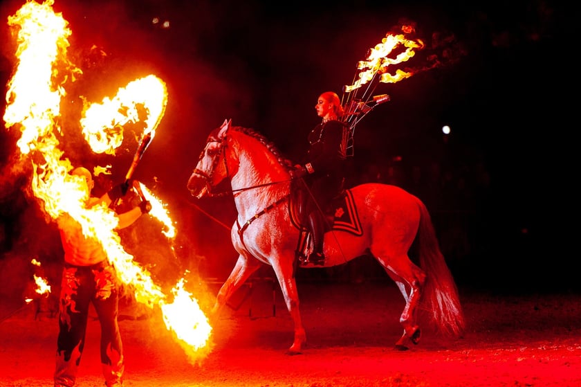 Zdjęcia Wiktora Rzeżuchowskiego, fotografa i  instruktora jazdy konnej
