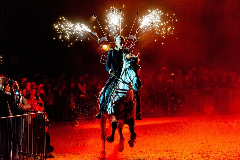 Zdjęcia Wiktora Rzeżuchowskiego, fotografa i  instruktora jazdy konnej