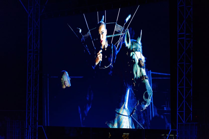 Zdjęcia Wiktora Rzeżuchowskiego, fotografa i  instruktora jazdy konnej