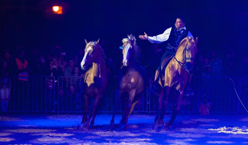 Zdjęcia Wiktora Rzeżuchowskiego, fotografa i  instruktora jazdy konnej