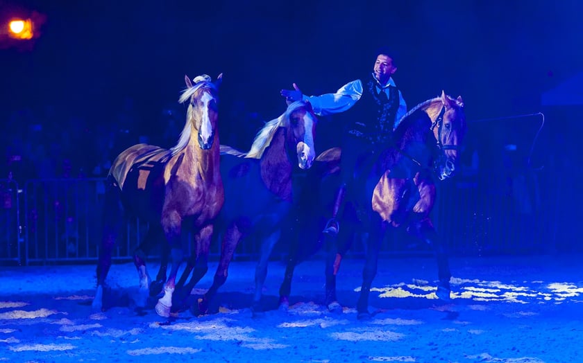 Zdjęcia Wiktora Rzeżuchowskiego, fotografa i  instruktora jazdy konnej