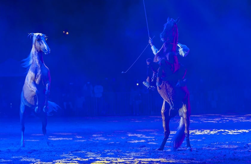 Zdjęcia Wiktora Rzeżuchowskiego, fotografa i  instruktora jazdy konnej