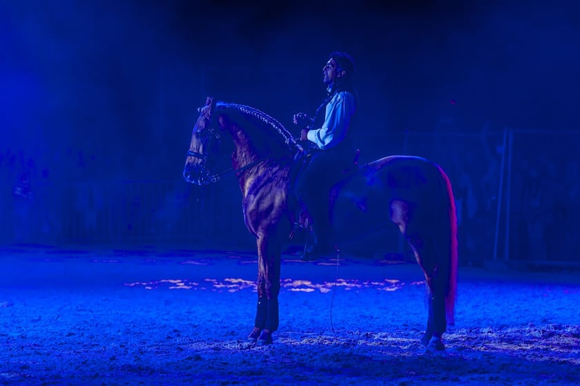 Zdjęcia Wiktora Rzeżuchowskiego, fotografa i  instruktora jazdy konnej