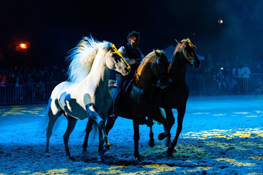 Zdjęcia Wiktora Rzeżuchowskiego, fotografa i  instruktora jazdy konnej