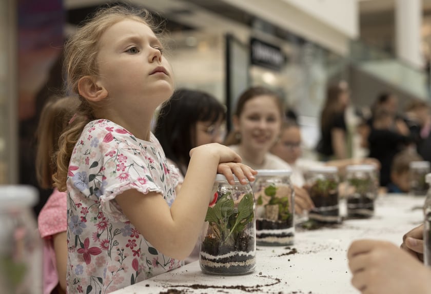 Warsztaty z sadzenia lasu w słoiku