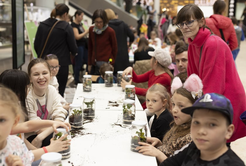 Warsztaty z sadzenia lasu w słoiku