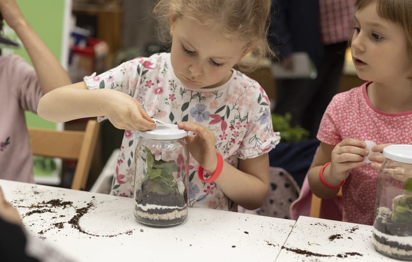 Warsztaty z sadzenia lasu w słoiku