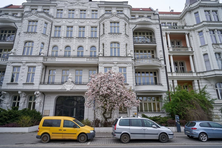 Magnolia przy Podwalu