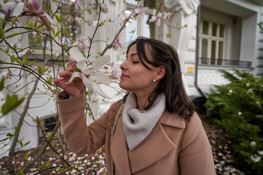 Magnolia przy Podwalu