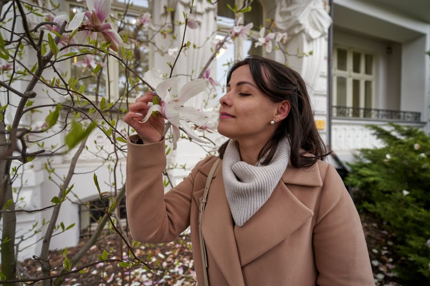 Magnolia przy Podwalu