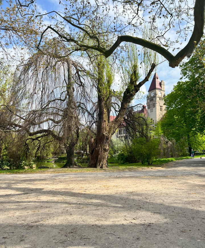Park Tołłpy z widokiem na budynek Wydziału Architektury Politechniki Wrocławskiej