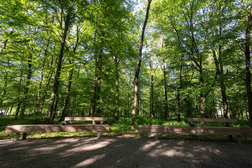Nagrodzony w konkursie zrealizowany projket PoPo Parku