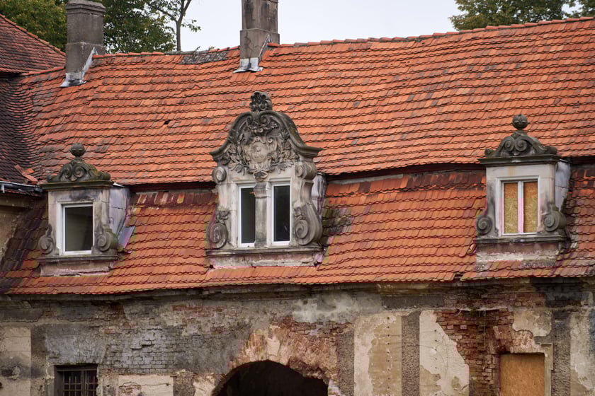 Pałacz w Goszczu