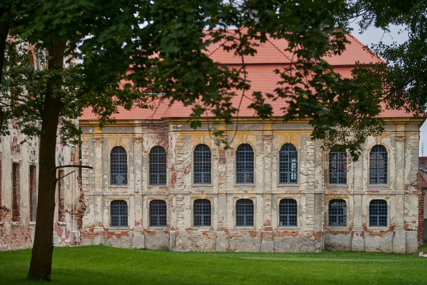 Pałacz w Goszczu