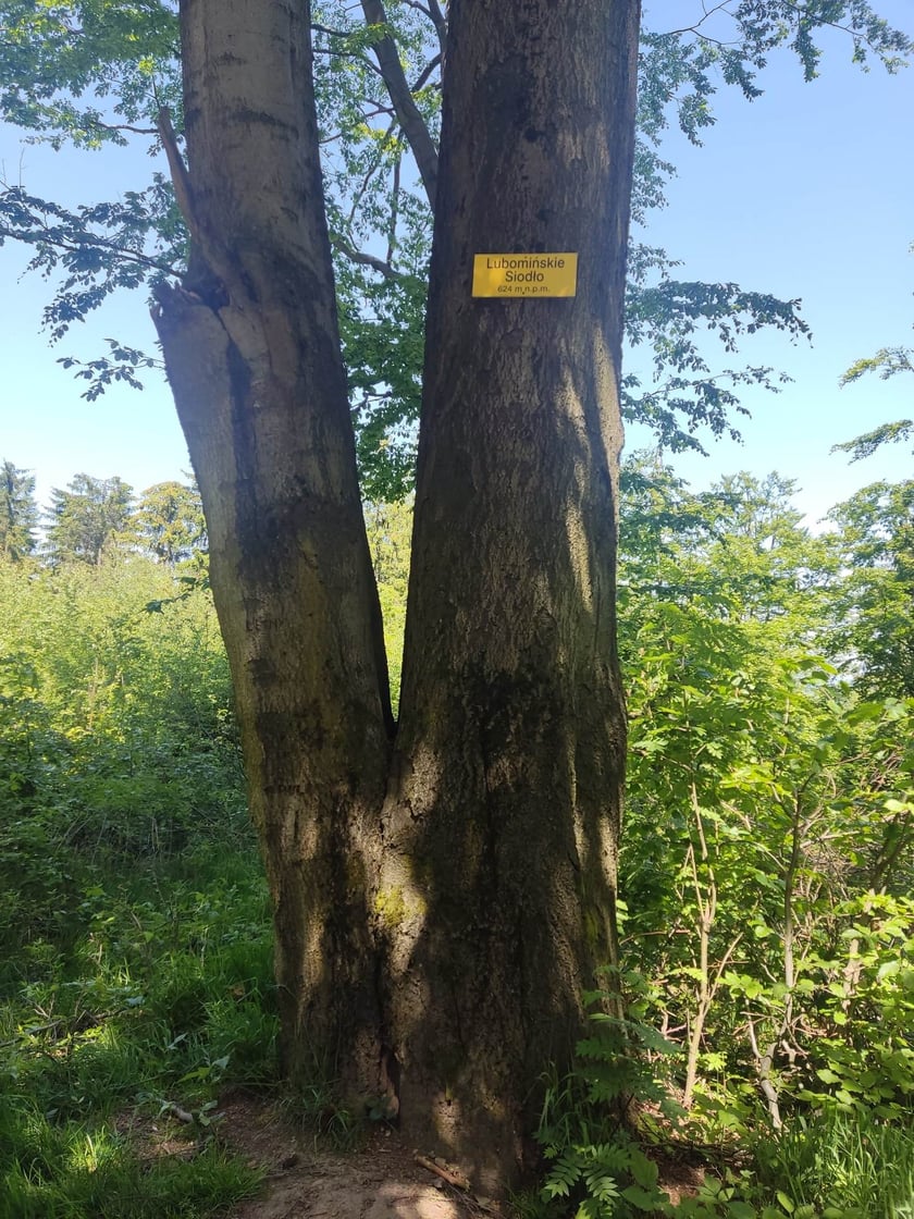 Wycieczka trasą na Trójgarb