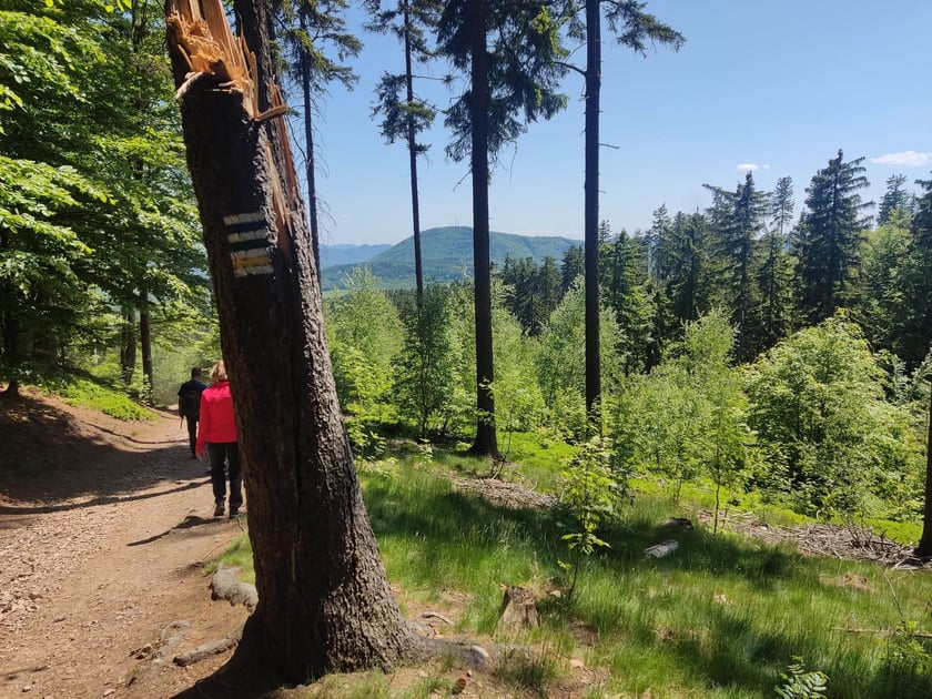Wycieczka trasą na Trójgarb