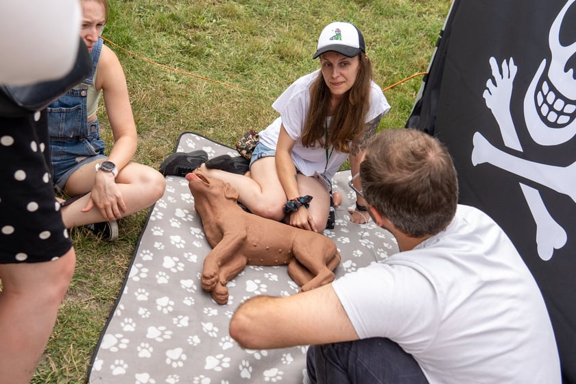 Festiwal PasiBrzucha na Partynicach