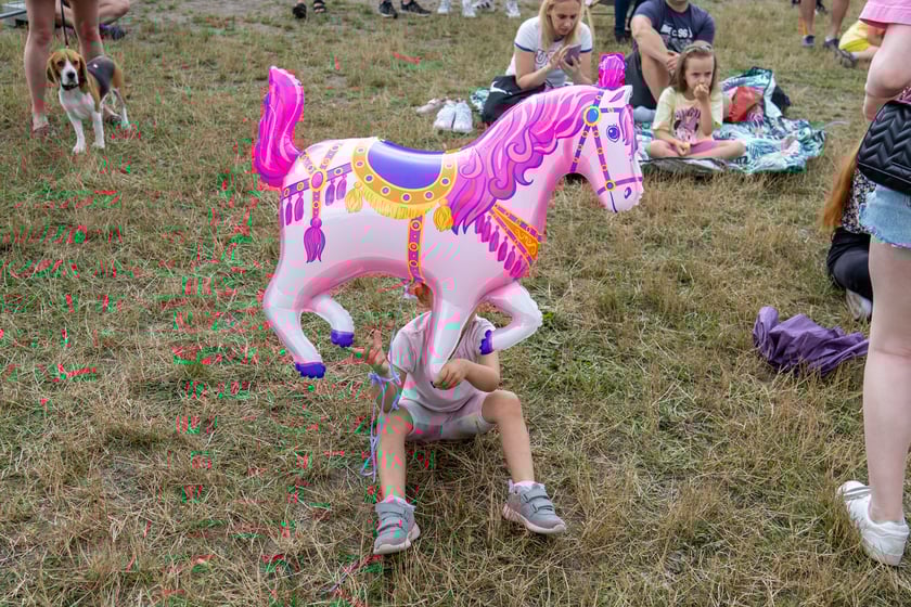 Festiwal PasiBrzucha na Partynicach