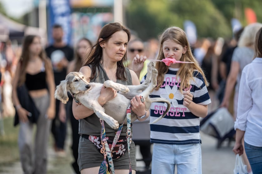 Festiwal PasiBrzucha 2023 na Partynicach we Wrocławiu