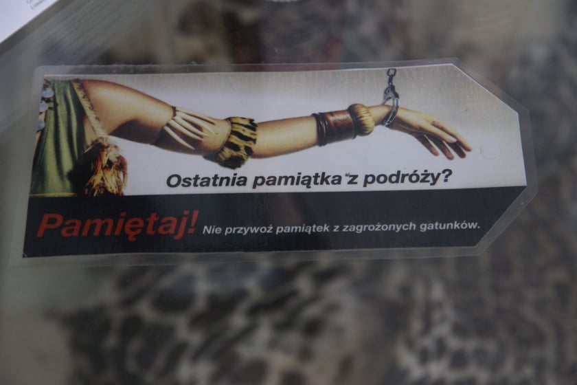 Ekspozycja na wrocławskim lotnisku z nielegalnymi przedmiotami przywiezionymi przez podróżnych