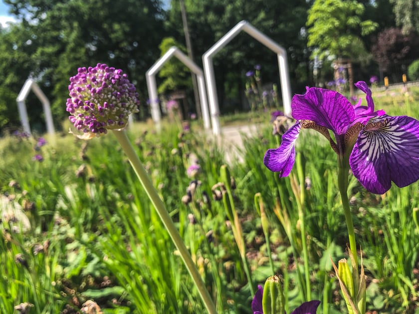 Park kieszonkowy przy ul. Tczewskiej