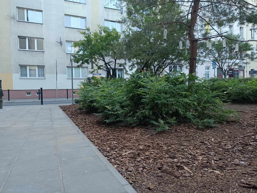 Remont podwórek u zbiegu ul. Czystej i Kościuszki