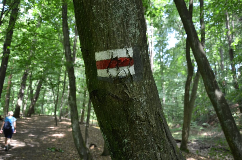 wycieczka z Wrocławia do Starego Książa i Książa